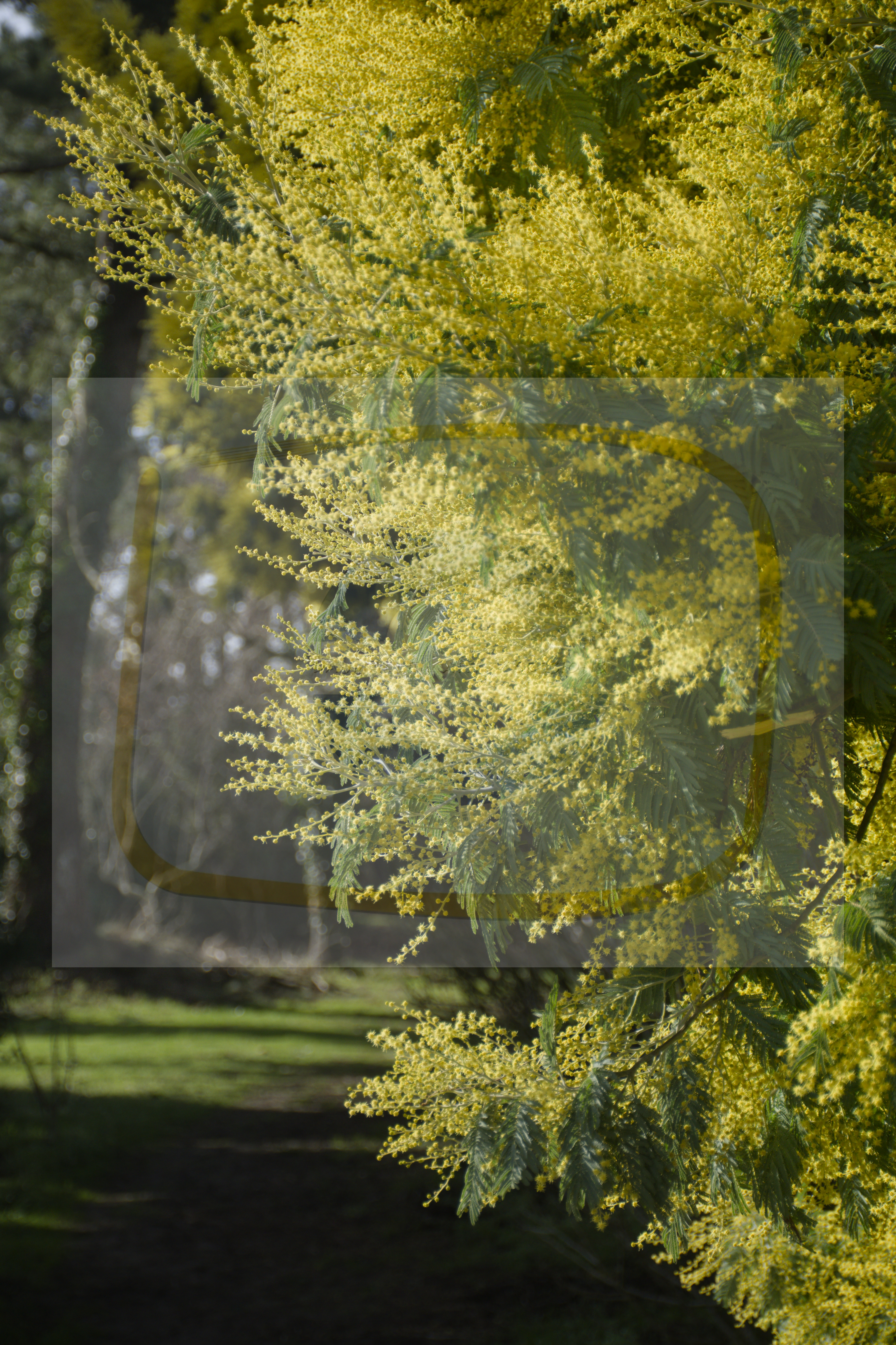  dsc0196 dxo 011122025 1