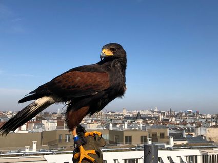 Slash sorbonne