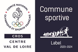 Logo-blere-ville-sportive