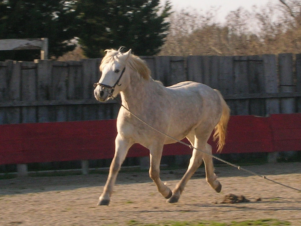 Eq 07