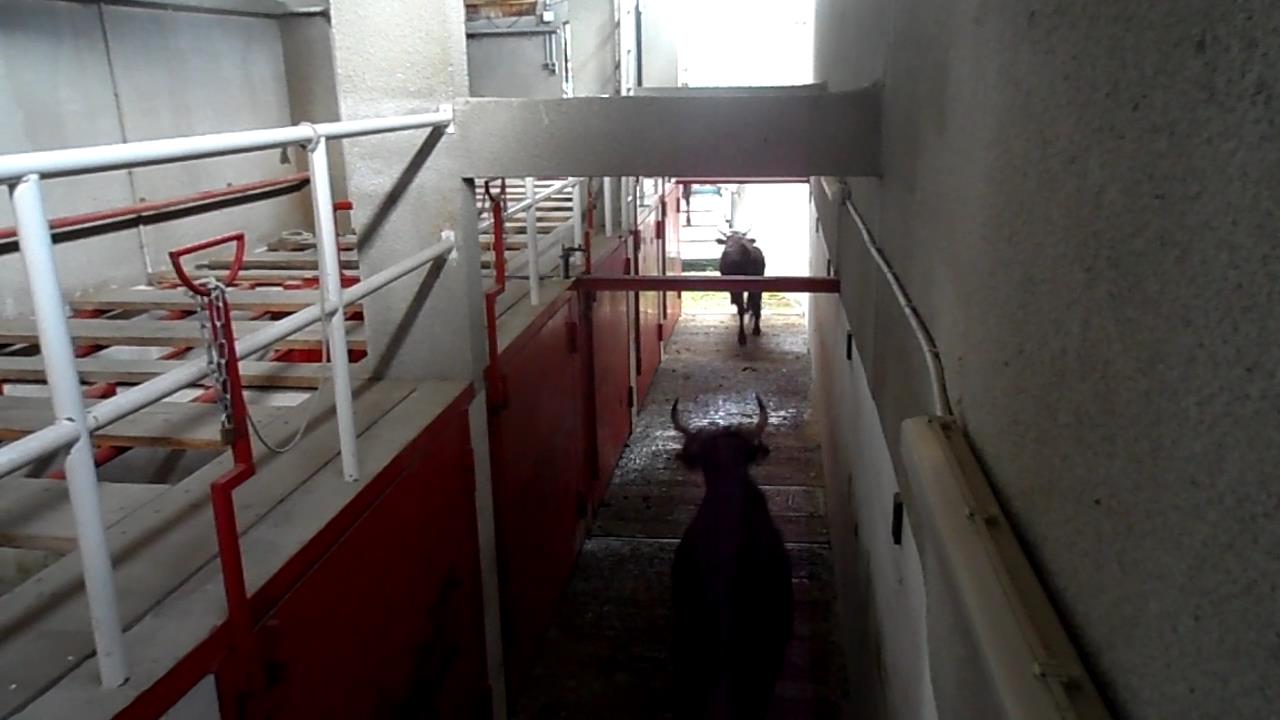 Embarquement 31