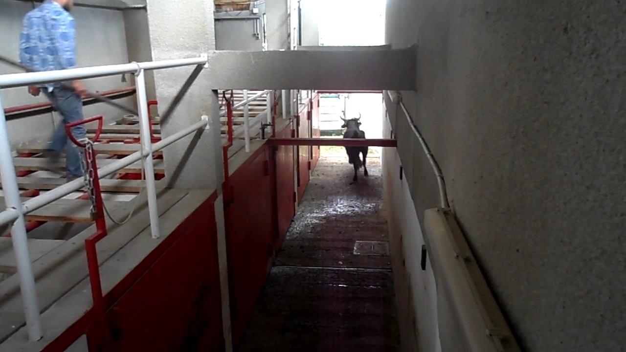 Embarquement 32