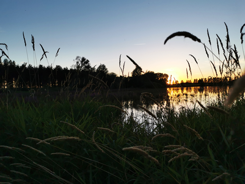 Couche de soleil2