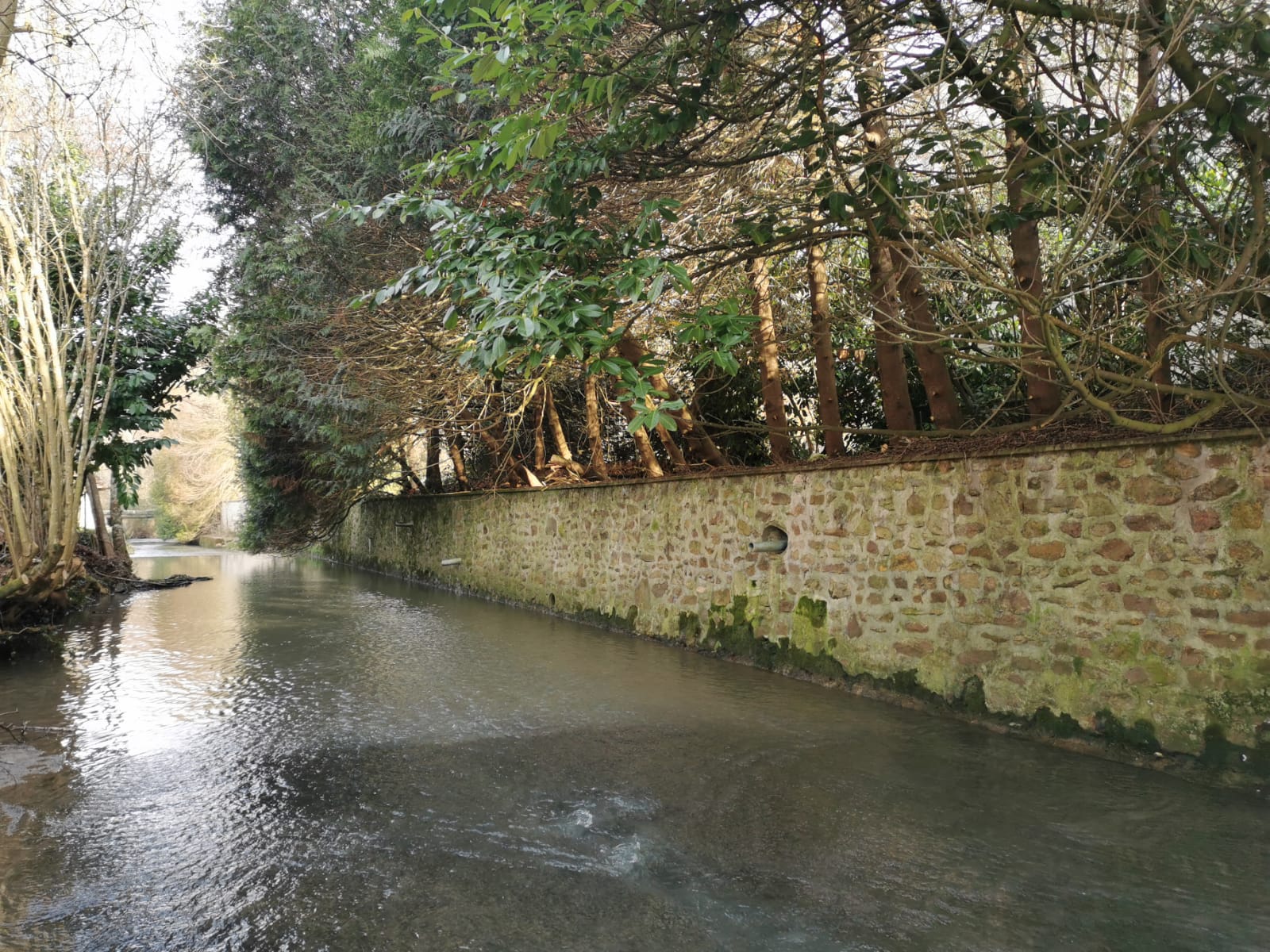 Img 20210214 wa0011 jpg