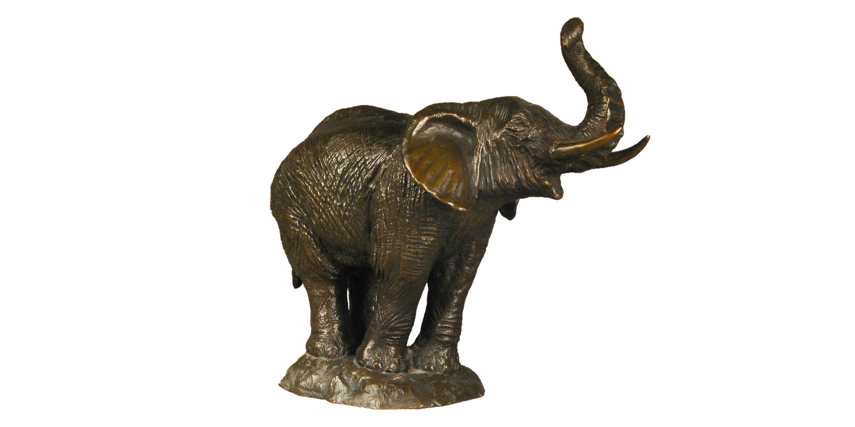 Vente e le phant moyen mode le