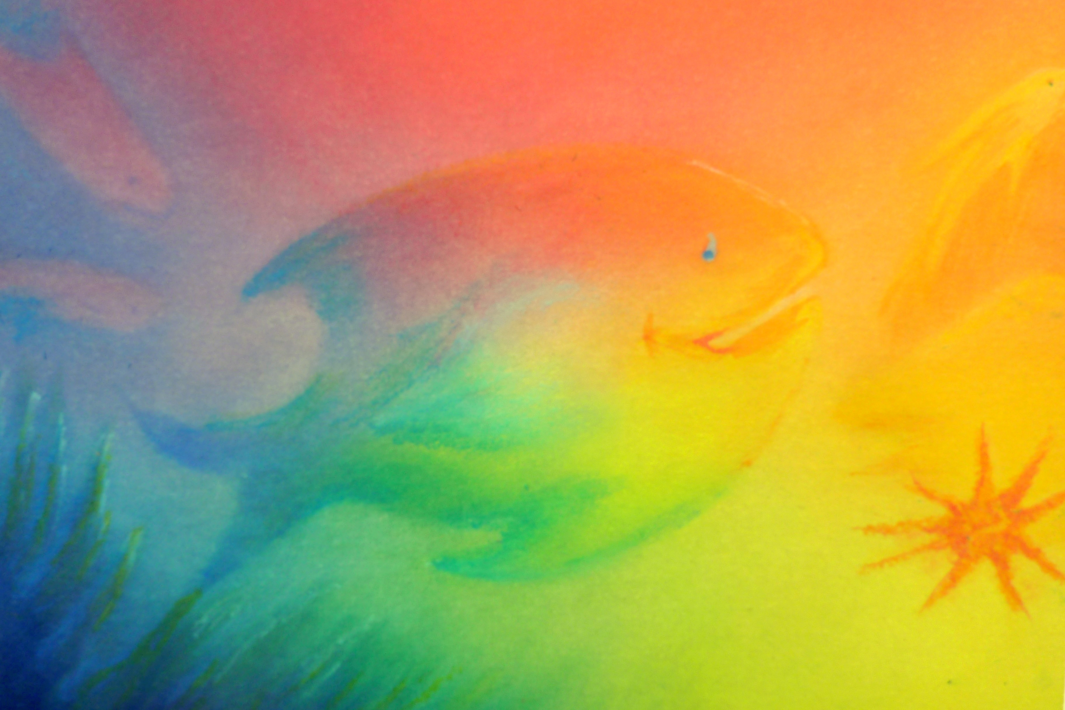 Poisson hauschka
