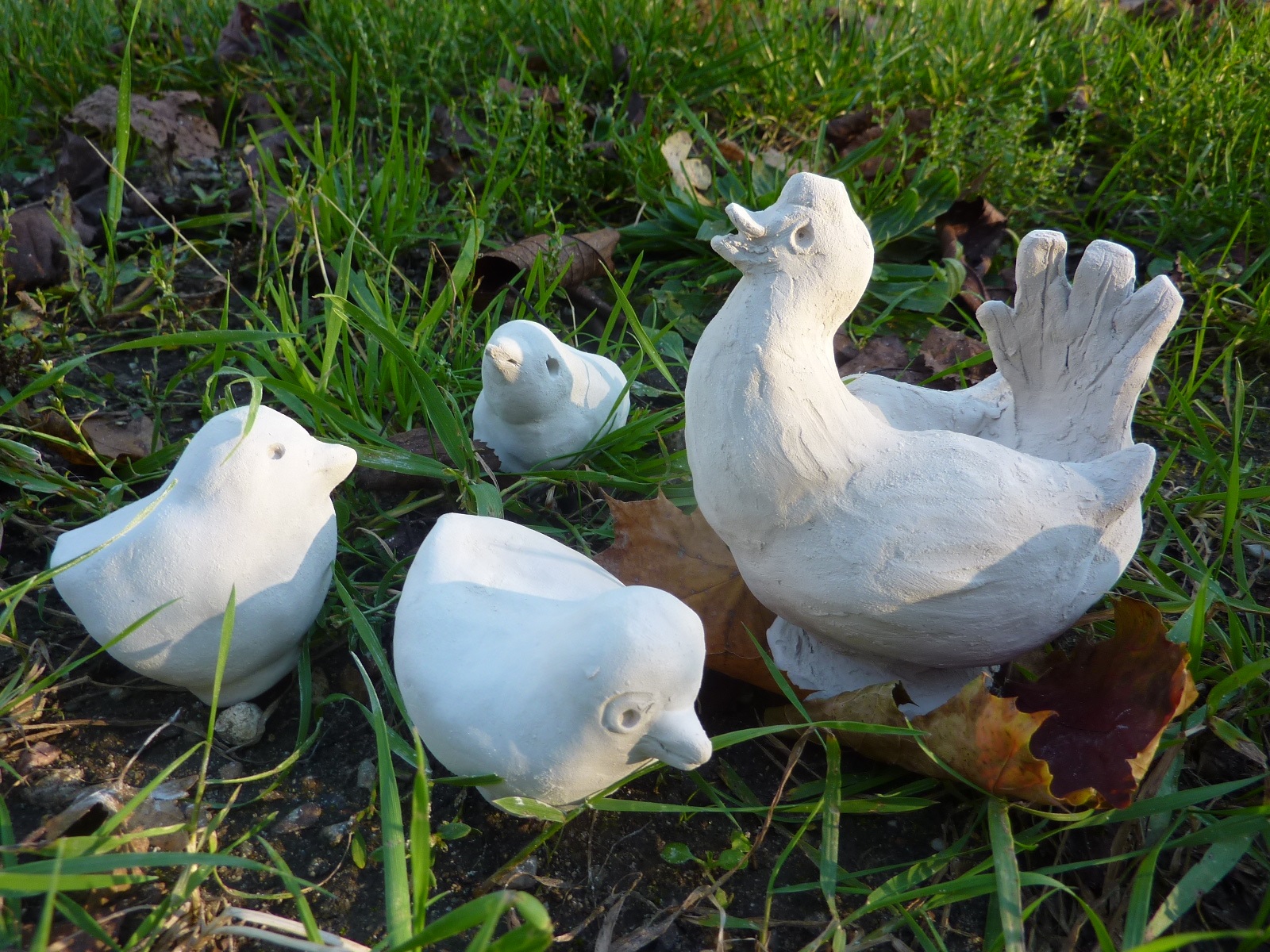 Modelage poule