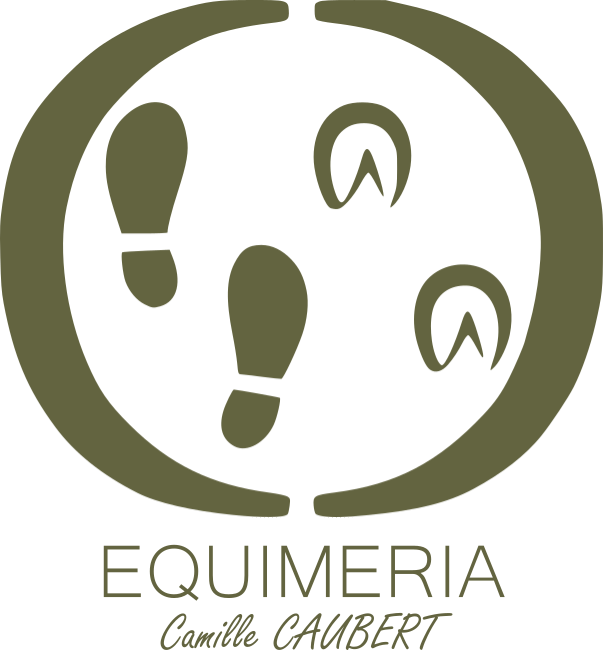 equimeria, conseil en alimentation équine, nutrition équine