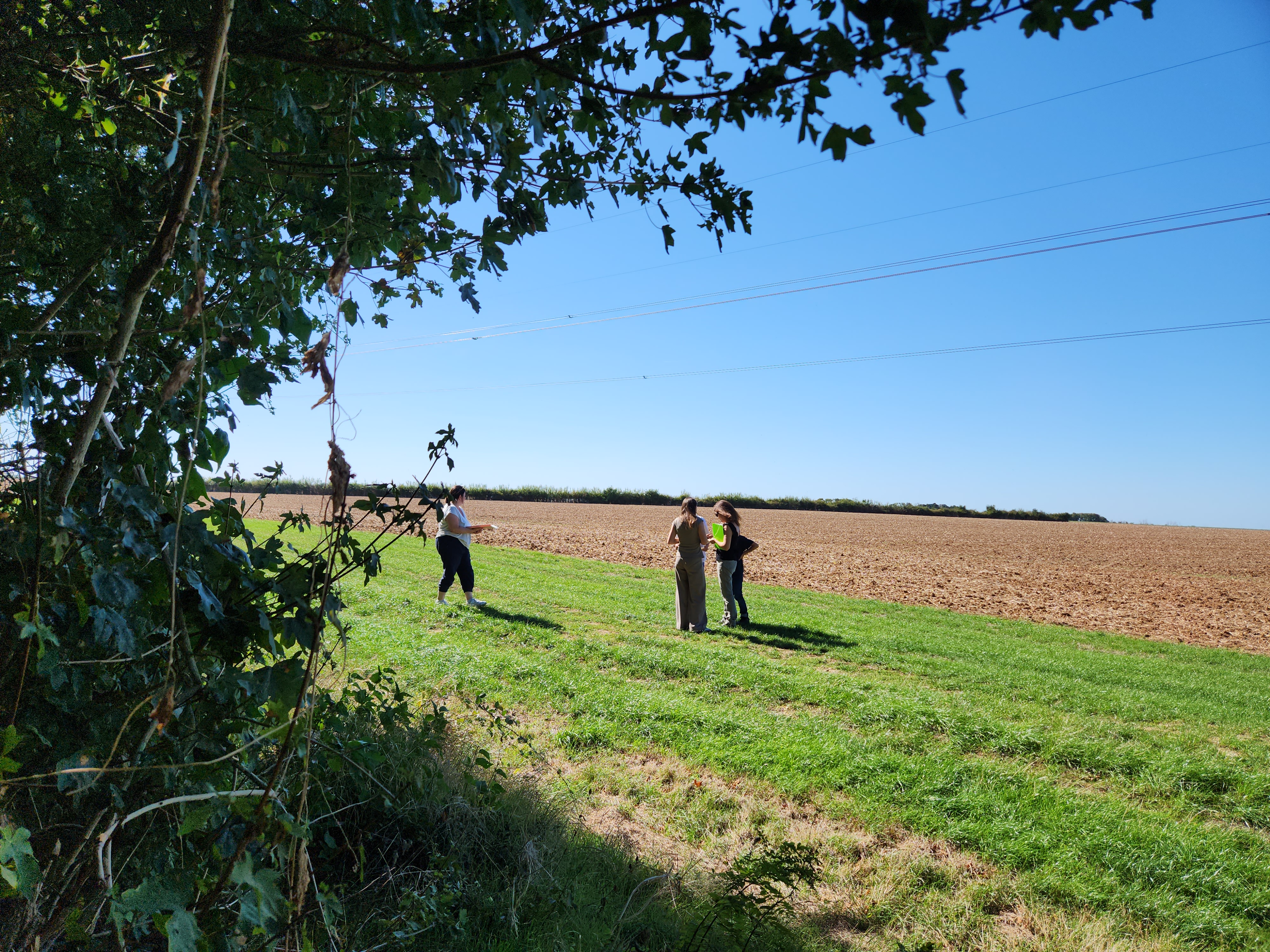 Escape game gite de villenoue plein air