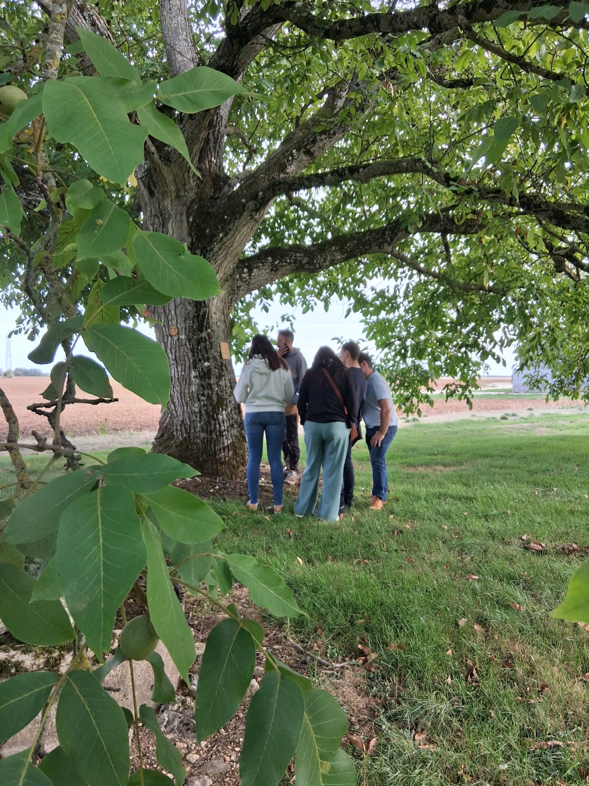 Escape game gite de villenoue indice