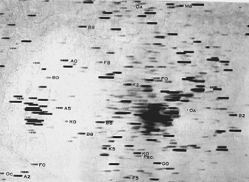 Spectres 1893