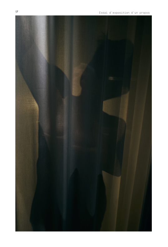 Essai d expose un propos mise en page 1 copier 1 v 17