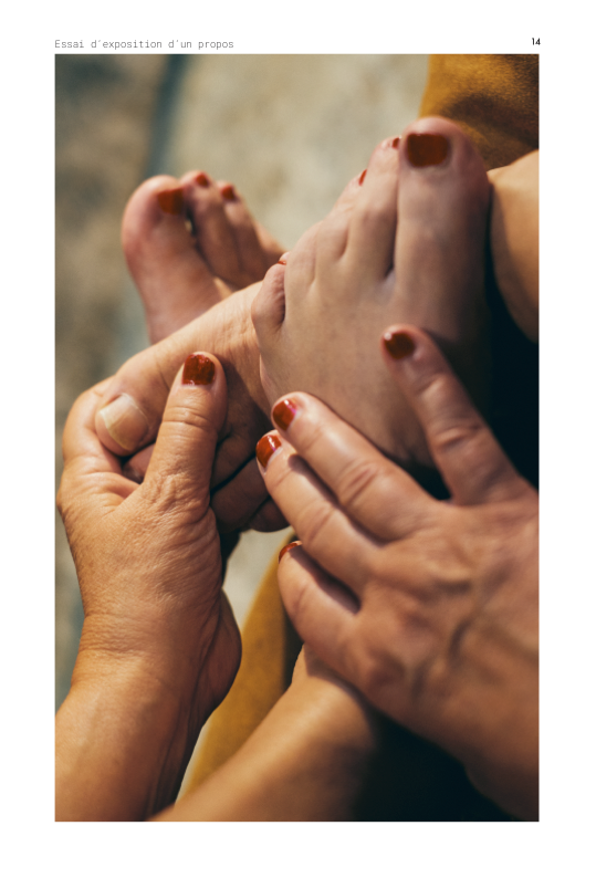 Essai d expose un propos mise en page 1 copier 1 v 14