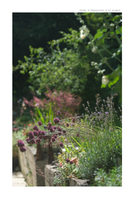 Essai d expose un propos copie de mise en page 1 v 21