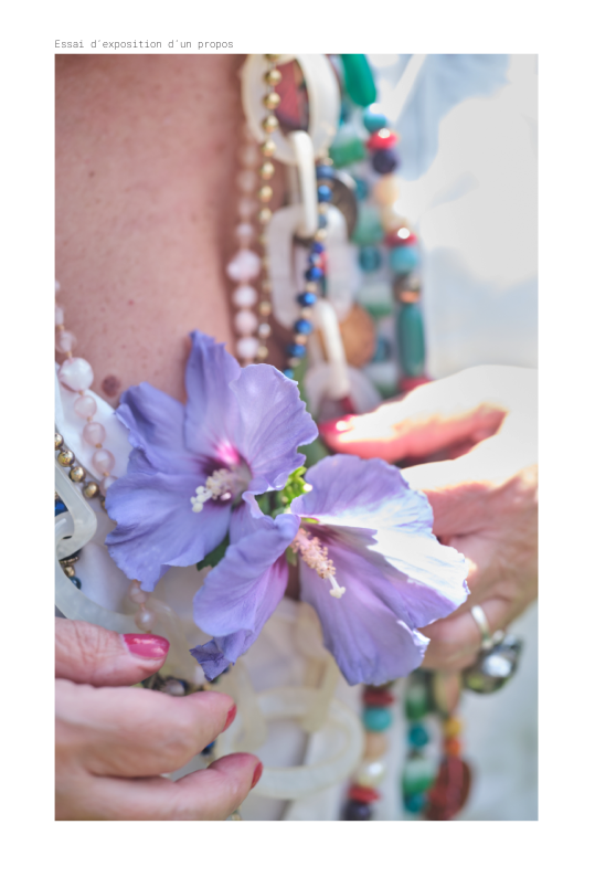 Essai d expose un propos copie de mise en page 1 v 20