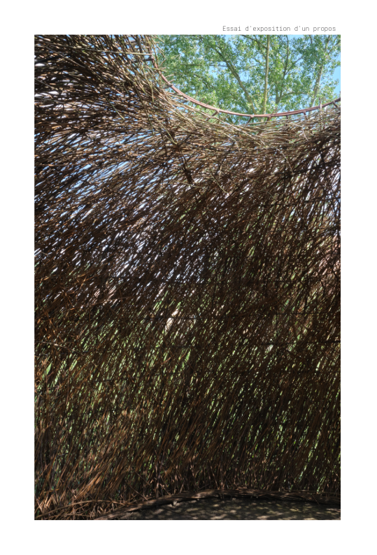 Essai d expose un propos copie de mise en page 1 v 19