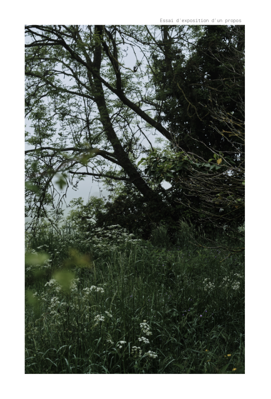 Essai d expose un propos copie de mise en page 1 v 17