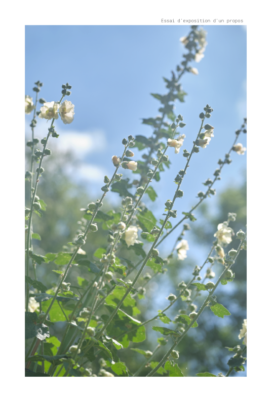 Essai d expose un propos copie de mise en page 1 v 15