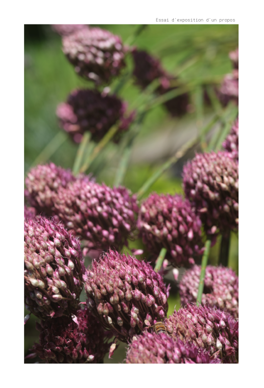 Essai d expose un propos copie de mise en page 1 v 13