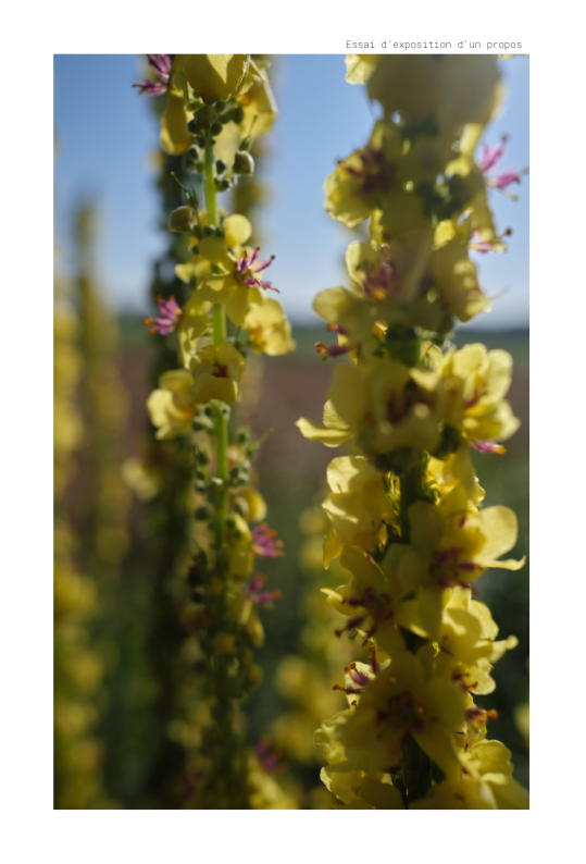 Essai d expose un propos copie de mise en page 1 v 11