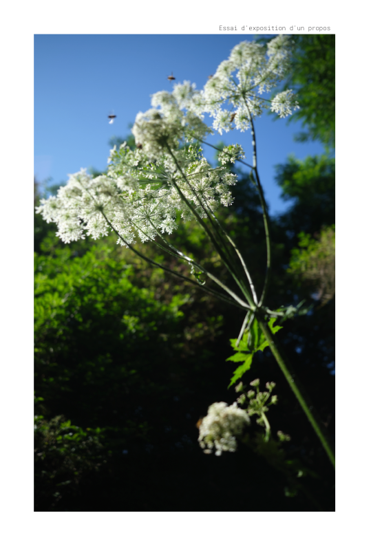 Essai d expose un propos copie de mise en page 1 v 7