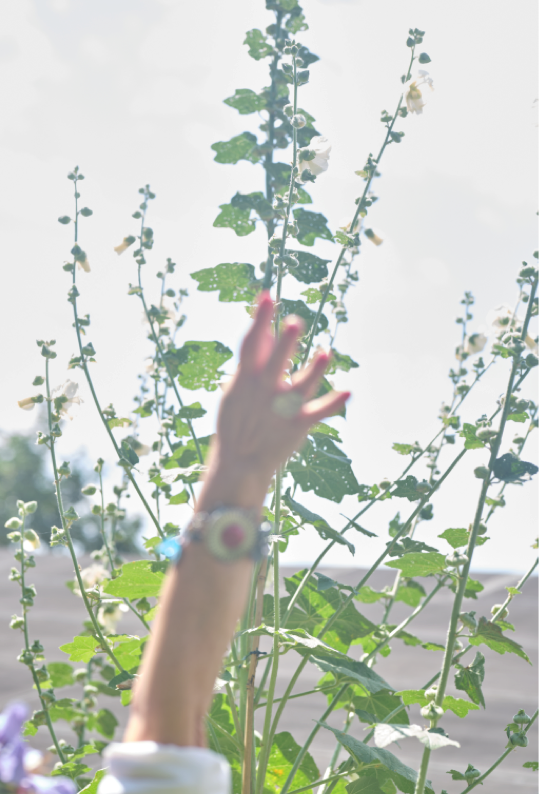 Essai d expose un propos copie de mise en page 1 v 2