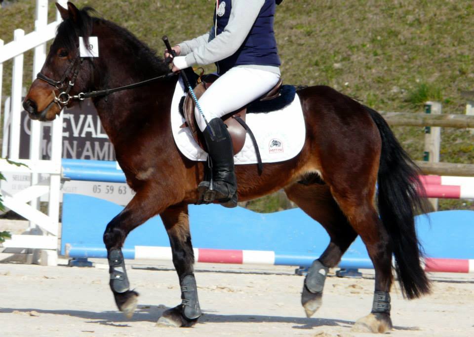 11061687 812040592166473 305822556943854299 n