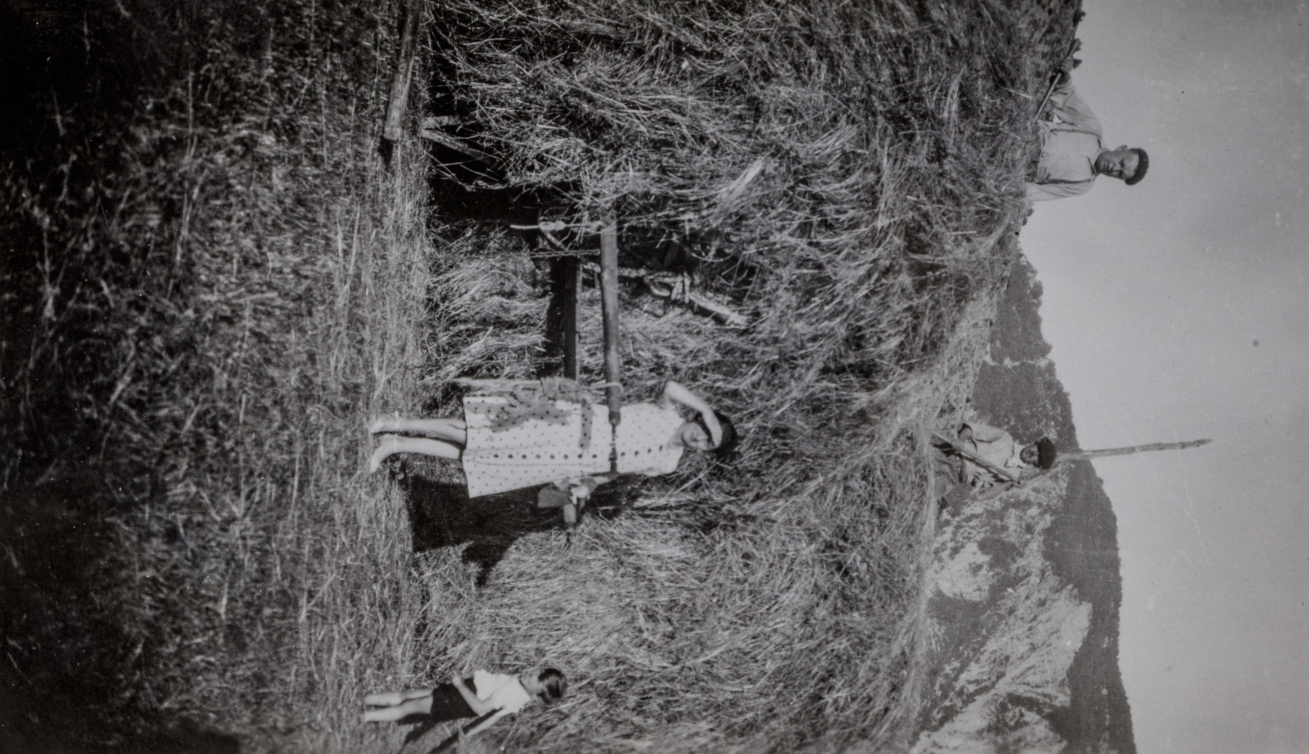  mg 4081