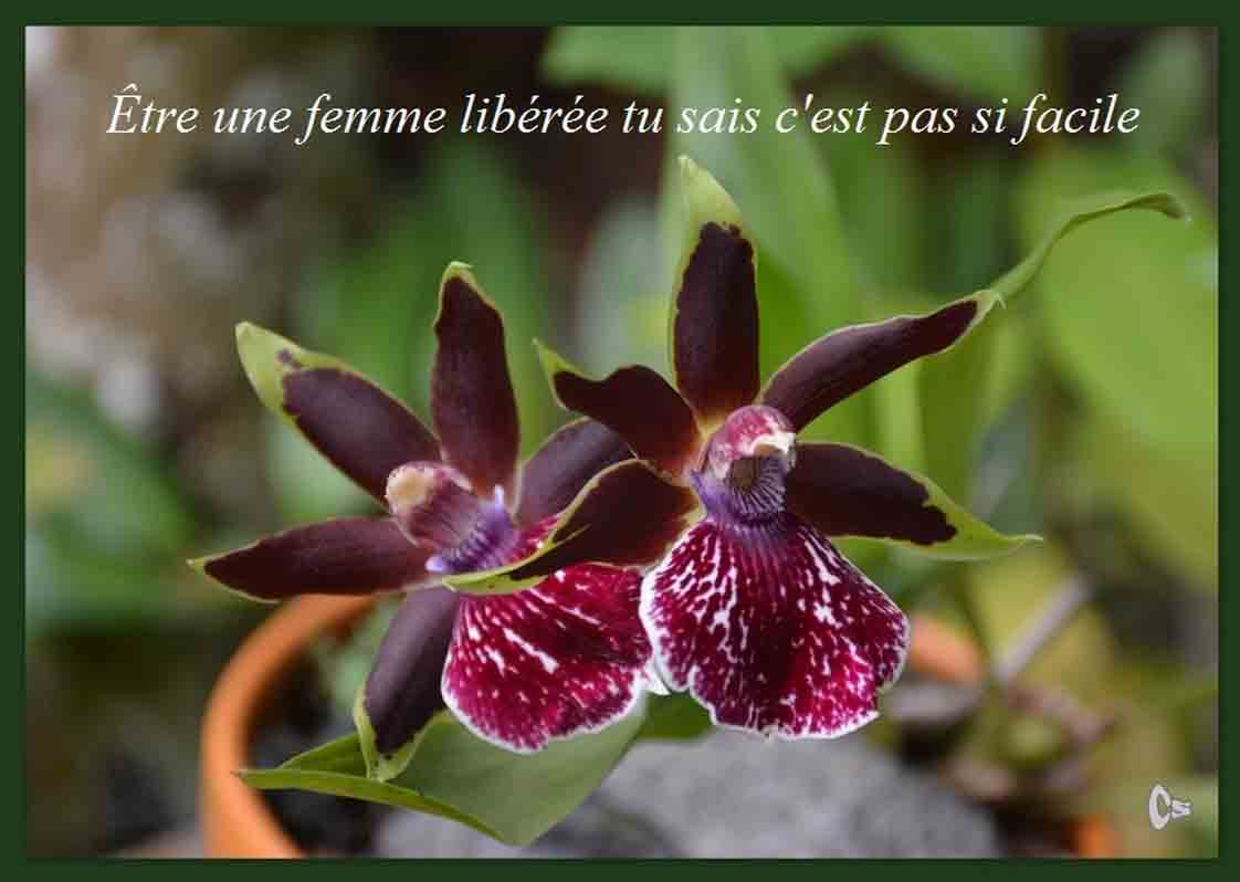201603 cs femmes6