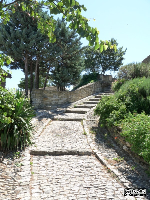 P1040156