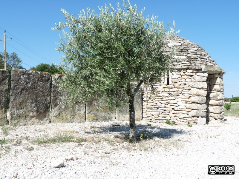 P1040129