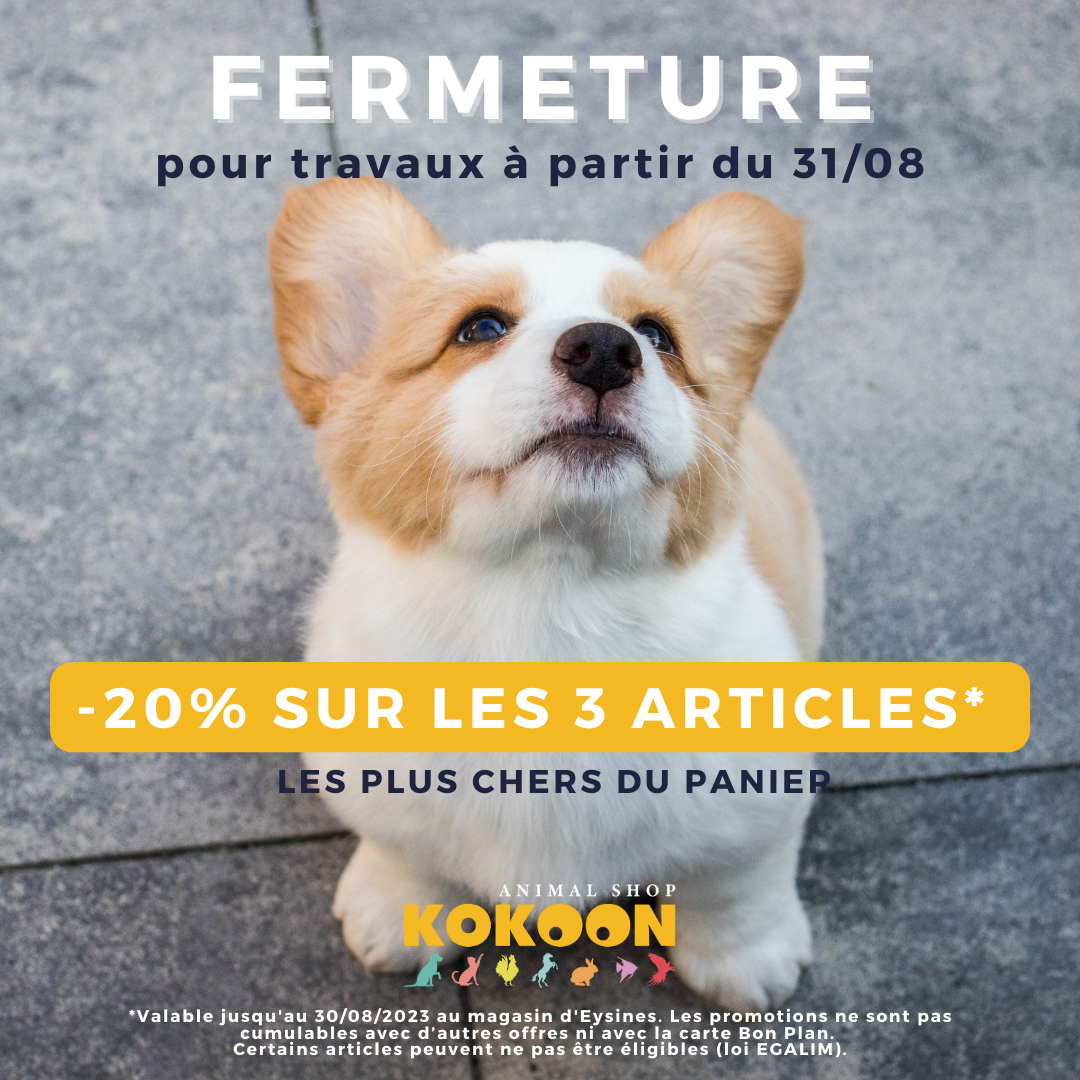 Eysines à partir du 31/08
