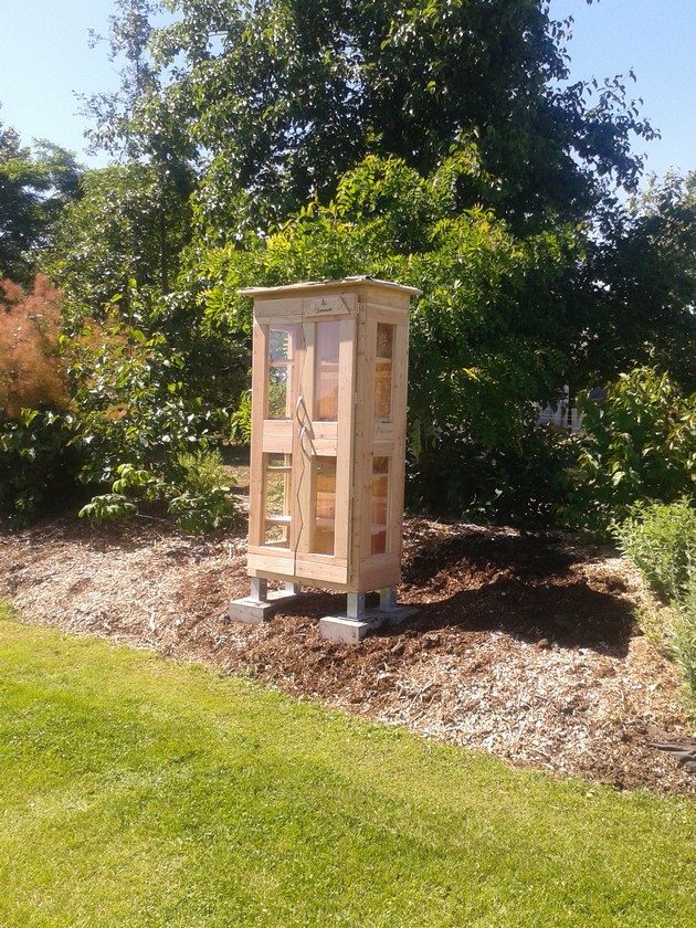 Cabane a livre brut