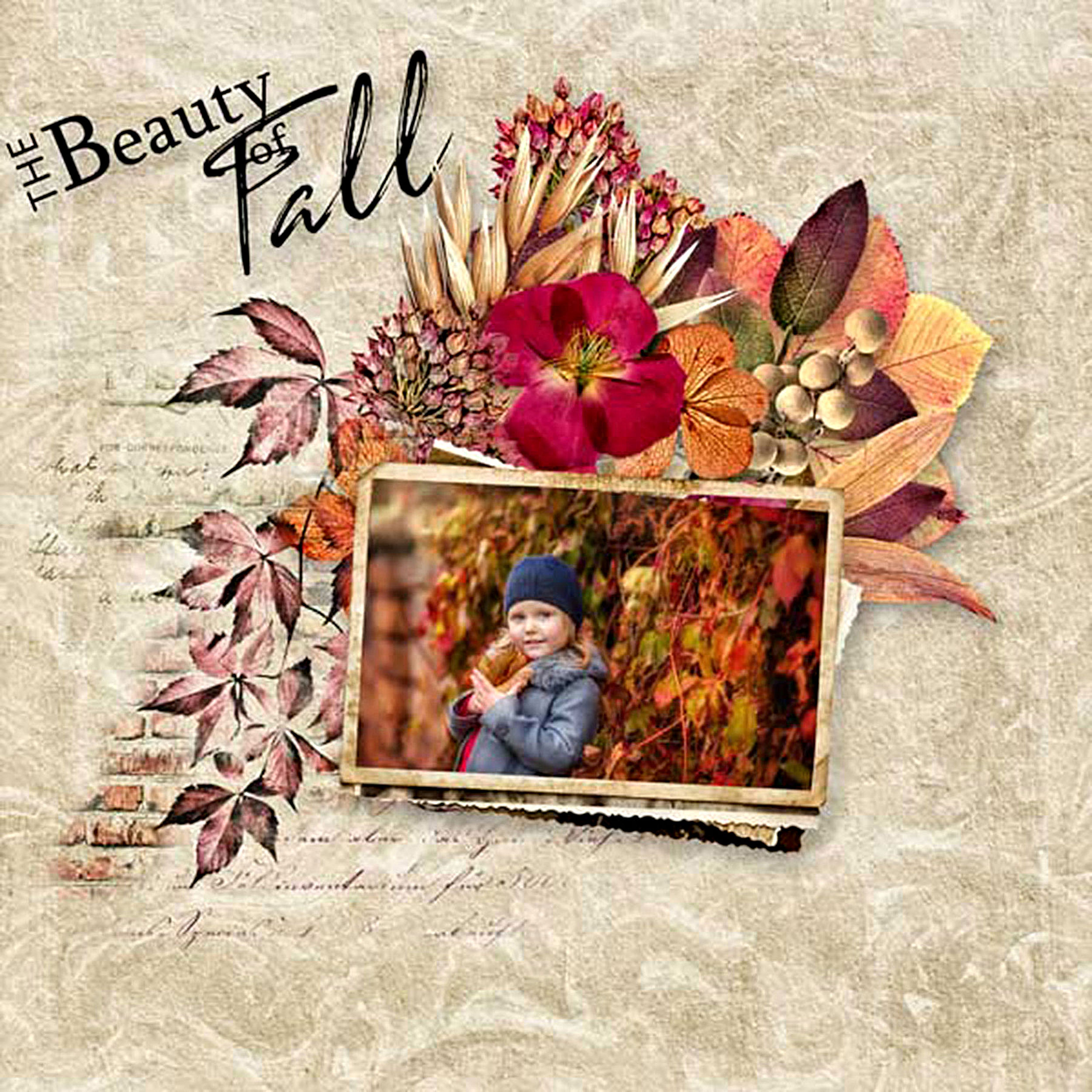 Fancy of fall d designs zanthia