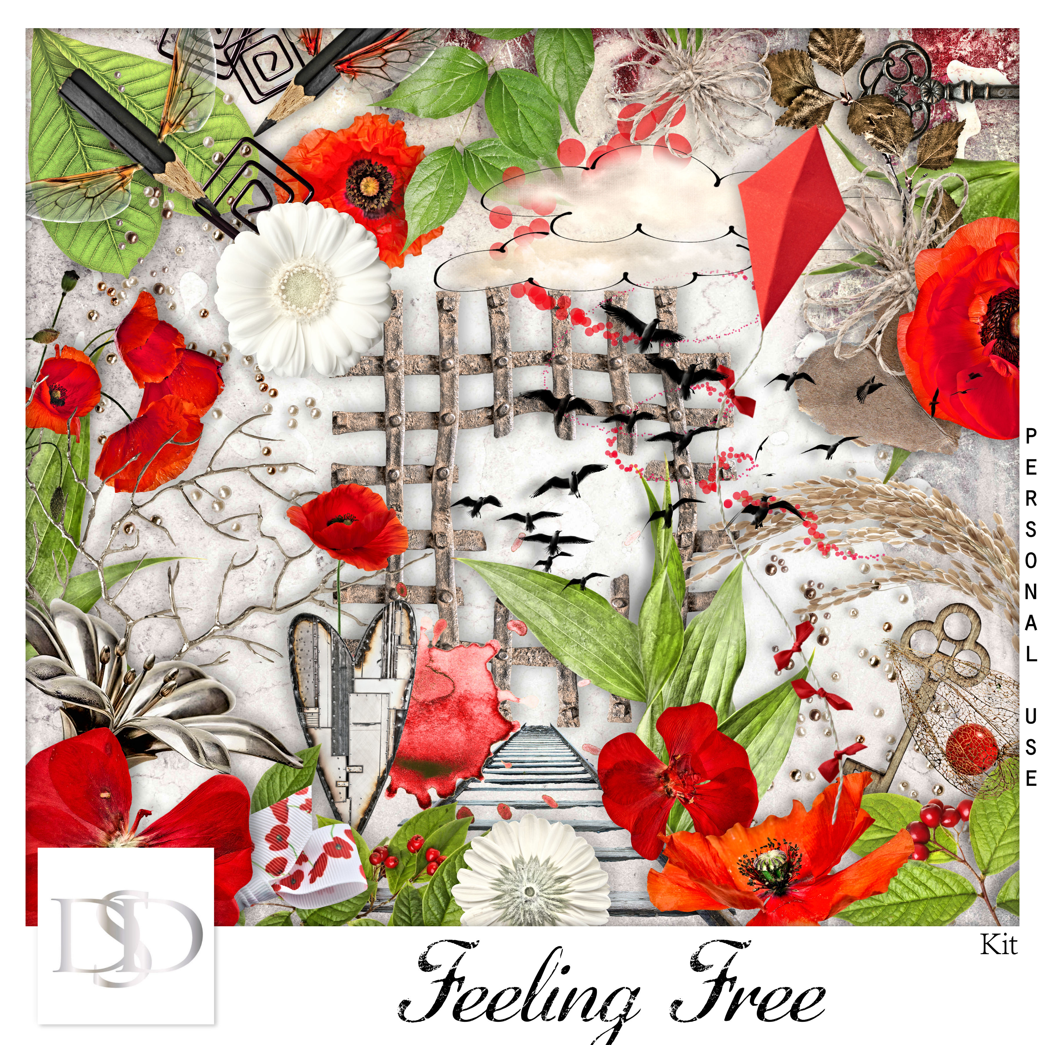 Dsd feelingfree kit