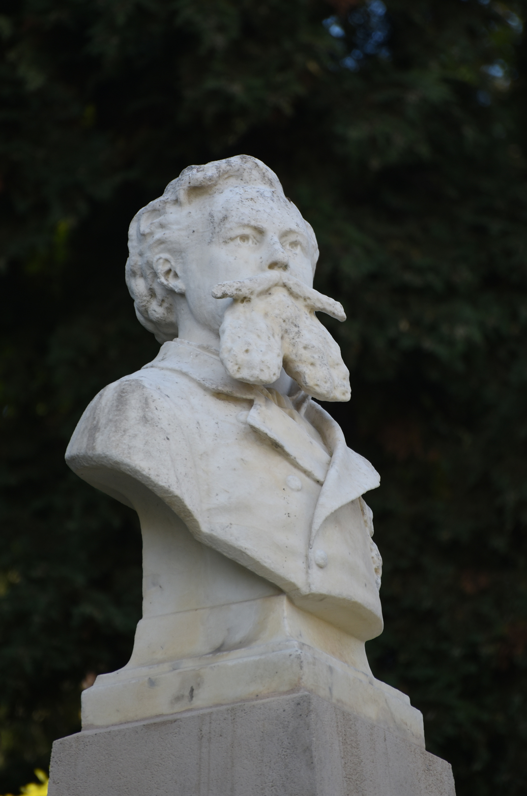 6 jules crevaux jardin botanique alexandre godron nancy