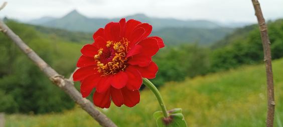 Image0000031