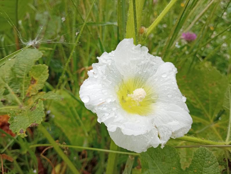 Image0000011d