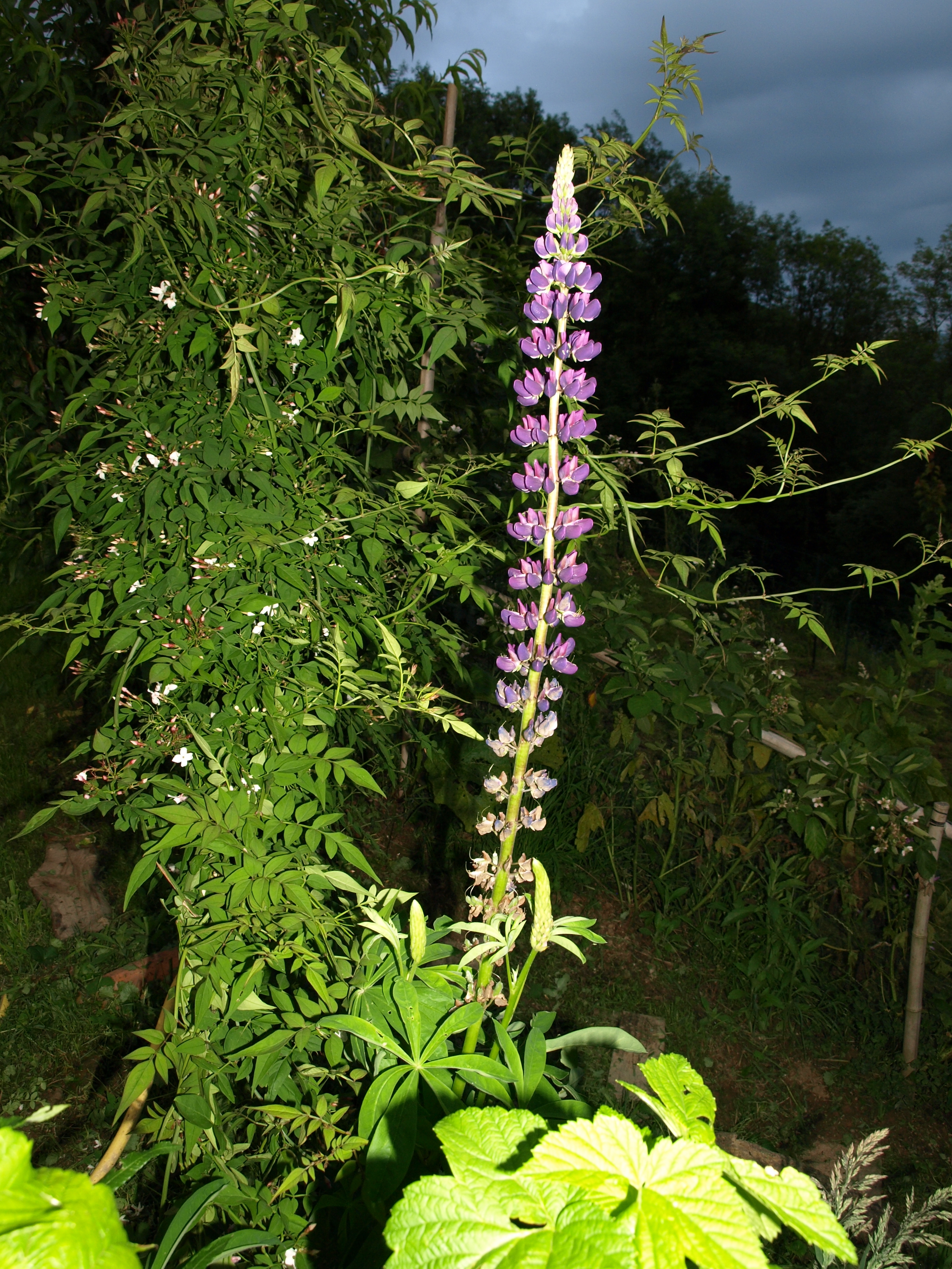 P1017572