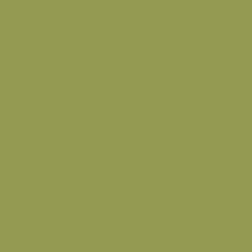 7e63f39202d19bc14e6da7bef8a46d0e-green-paint-colors-living-room-paint-colors