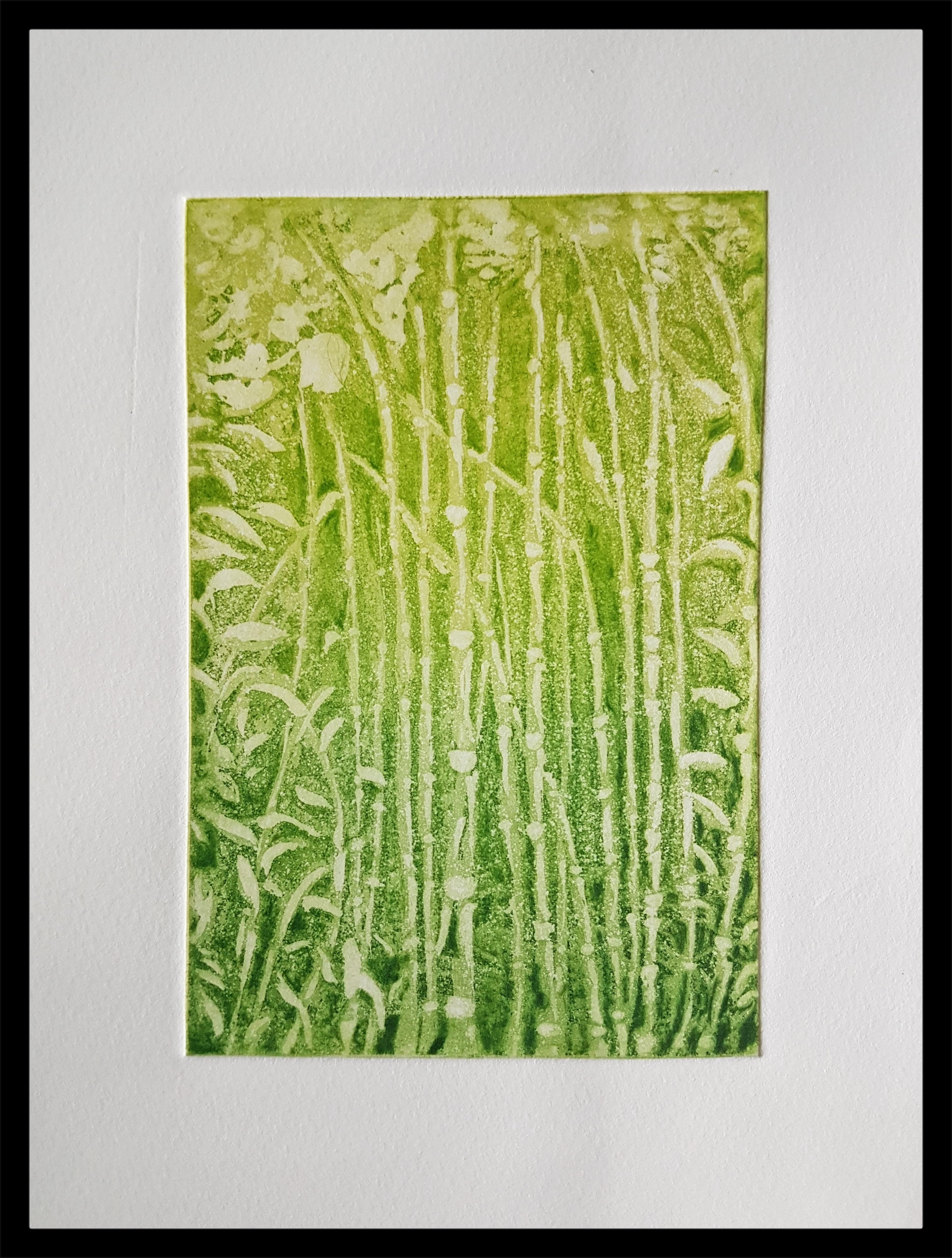 prêles japonaises, gravure, eau-forte, estampe, aquatinte, pointe sèche, gravure sur zinc