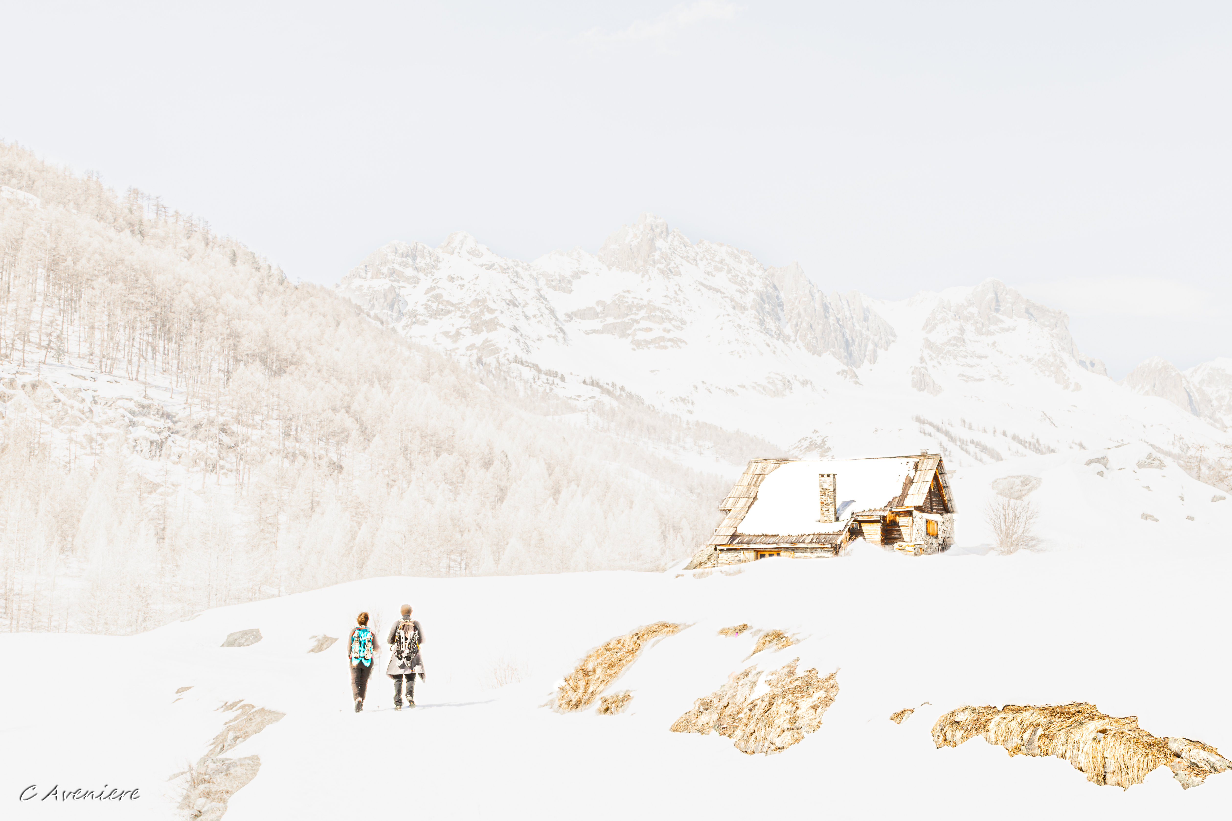 Jf6a2566 avec accentuation bruit