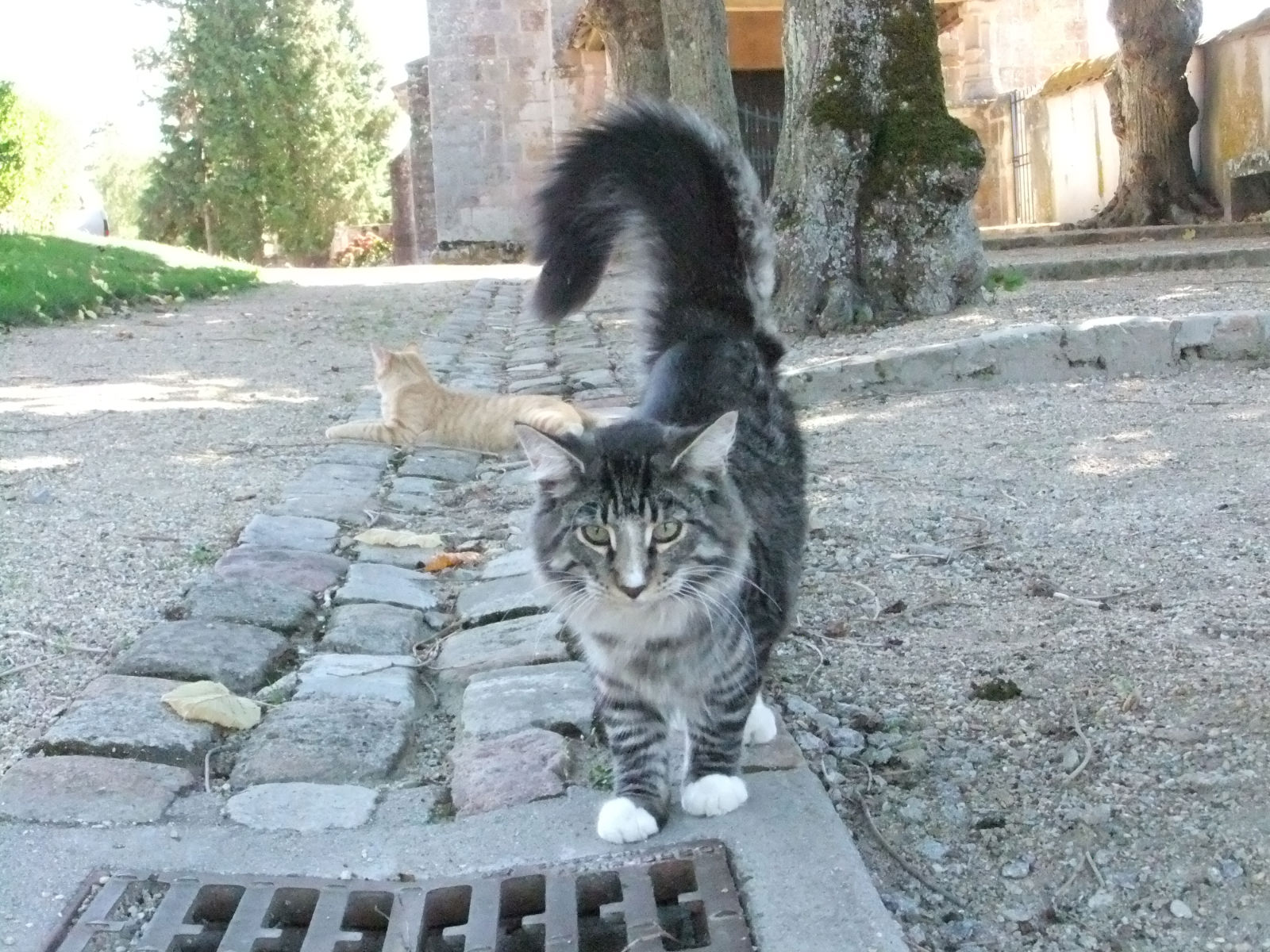 Sept 2011 008