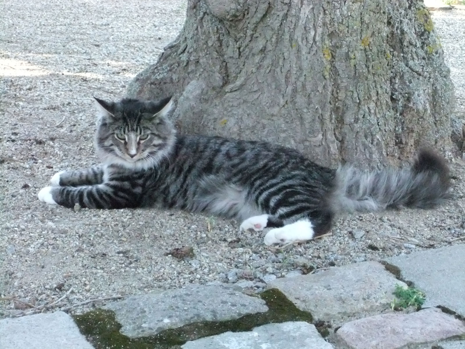 Sept 2011 009