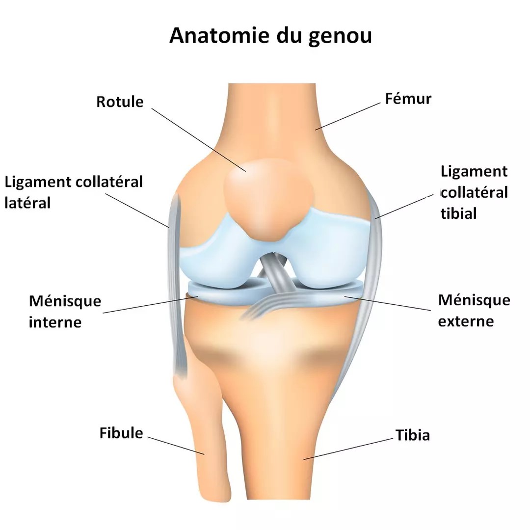 Chirurgie meniscale 1