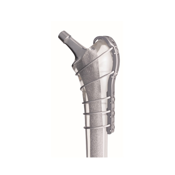 Fracture hanche2