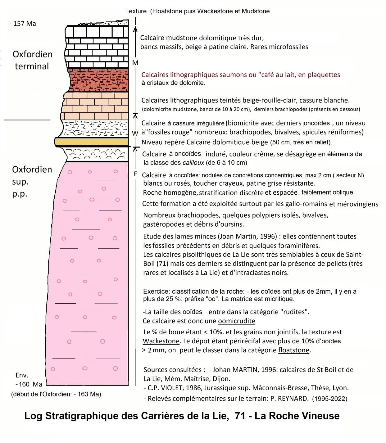 Coupe présentant les différentes couches géologiques des Carrières de la Lie (71960 La Roche-Vineuse)