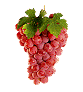 Raisin 06