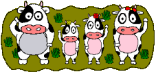 Vaches qui saluent