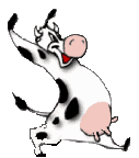 Vaches 20 1 